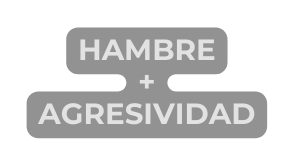 Hambre Agresividad