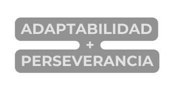 Adaptabilidad perseverancia