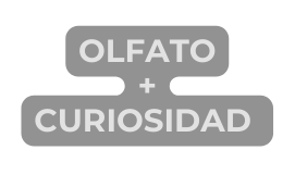 Olfato Curiosidad